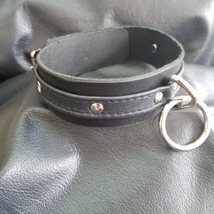 Blue and Black Collar